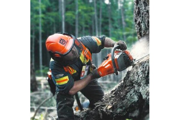 Бензинова пилка Husqvarna 545 II (9676906-35)