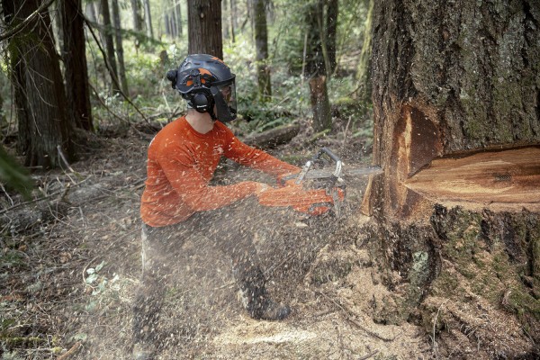 Бензопила Husqvarna 585 (9704930-30)