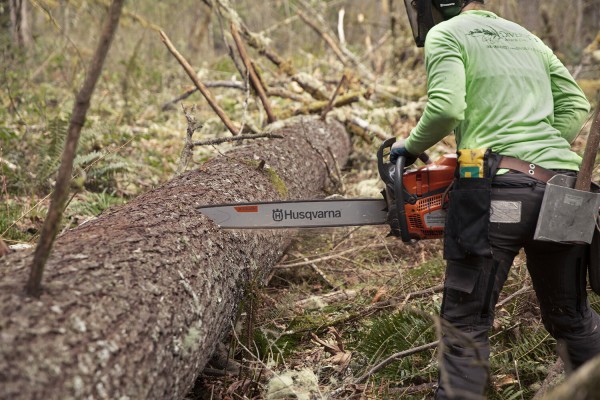 Бензопила Husqvarna 585 (9704930-30)