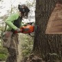 Бензопила Husqvarna 592ХР (9704931-44)