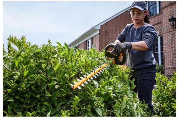 Кущоріз акумуляторний безщітковий DeWALT DCMHT573X1