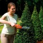 Кущоріз-ножиці акумуляторні BLACK+DECKER GSL700KIT