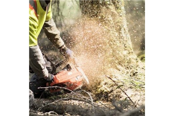 Бензопилки Husqvarna 565