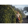 Акумуляторний тример Husqvarna 325iLK (9678501-03) (без АКБ та ЗП)