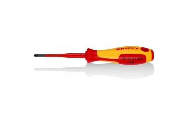 Викрутка для гвинтів з хрестовим шліцом Pozidriv  98 25 01 SLS