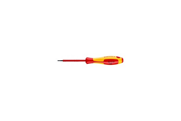 Викрутка для гвинтів з профілем \"внутрішній шестигранник\" KNIPEX 98 13 25